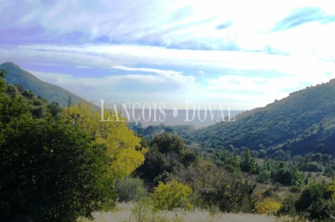 Finca y masía en venta. Cap de Creus. Empordà. Girona