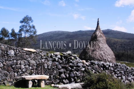 Oia. Torroña. Pontevedra. Finca y casa rural en venta