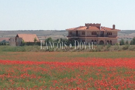 Casa y finca en venta. Puebla de Almenara. Cuenca.        