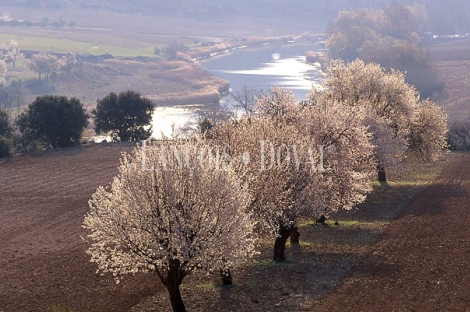 Fincas rústicas en la Alcarria, espacios para el descanso.