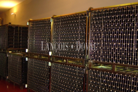 Bodega exportadora de vinos en venta. Ciudad Real.