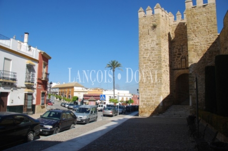 Casa palacio en venta. Ideal hotel con encanto. Marchena. Sevilla.