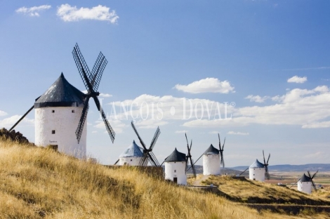 Fincas singulares en venta. Toledo. Castilla La Mancha