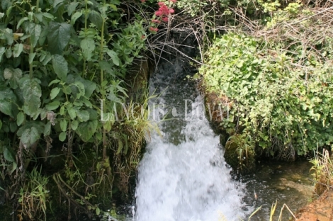 Venta finca y molino de salto de agua reconstruido. Campo de Borja. Zaragoza.