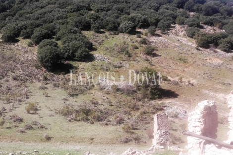 Jaén. Finca rústica en venta. Campillo De Arenas. 