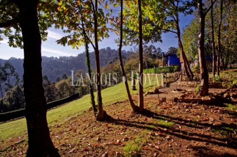 Finca y casa asturiana típica con panera en venta. Trevías. Valdés. Asturias. 