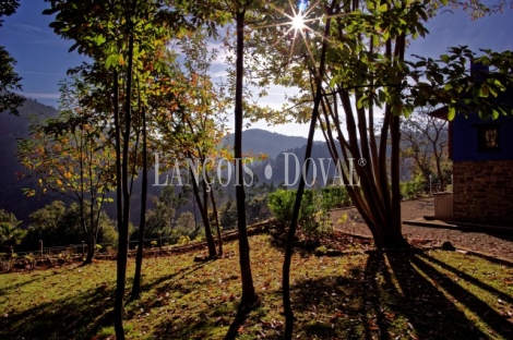 Finca y casa asturiana típica con panera en venta. Trevías. Valdés. Asturias. 