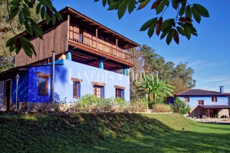 Finca y casa asturiana típica con panera en venta. Trevías. Valdés. Asturias. 