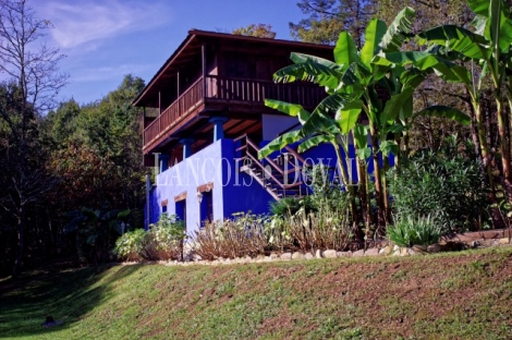 Finca y casa asturiana típica con panera en venta. Trevías. Valdés. Asturias. 