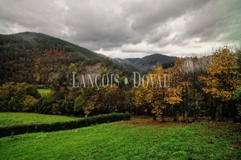 Finca y casa asturiana típica con panera en venta. Trevías. Valdés. Asturias. 