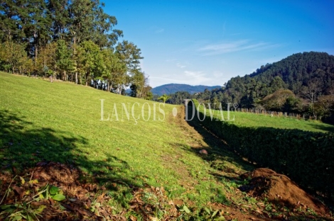 Finca y casa asturiana típica con panera en venta. Trevías. Valdés. Asturias. 