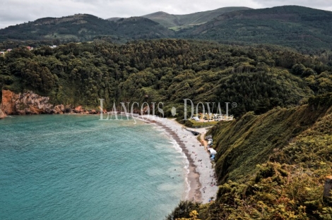 Finca y casa asturiana típica con panera en venta. Trevías. Valdés. Asturias. 