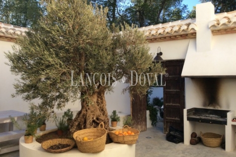 Murcia. Casa señorial y finca en venta. Mula. Sierra Espuña.