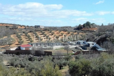 Madrid.  Finca Rústica olivar en venta. Villarejo de Salvanés.