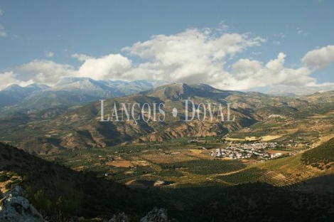 Jaén. Venta finca caza menor con alojamientos turísticos. Arburniel. Sierra Mágina.