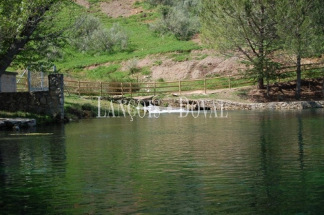 Jaén. Venta finca caza menor con alojamientos turísticos. Arburniel. Sierra Mágina.