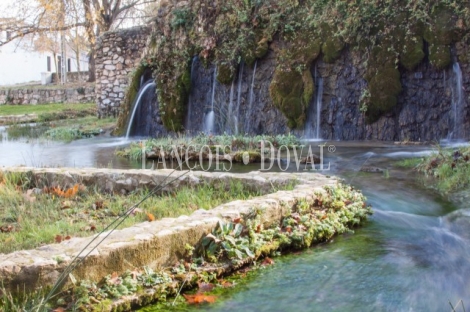 Jaén. Venta finca caza menor con alojamientos turísticos. Arburniel. Sierra Mágina.