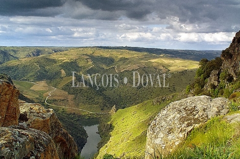 Parque natural Arribes del Duero. Restaurante y alojamiento rural en venta. Salamanca