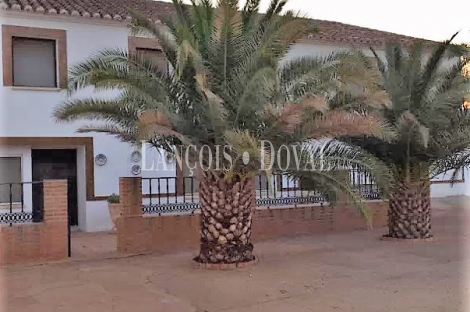 Finca de recreo olivar y cultivo en venta. Ciudad Real.