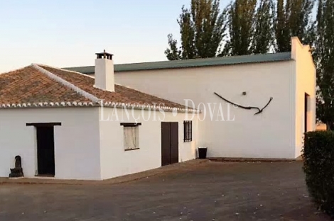 Finca de recreo olivar y cultivo en venta. Ciudad Real.