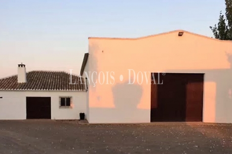 Finca de recreo olivar y cultivo en venta. Ciudad Real.