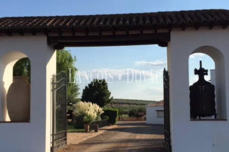 Finca de recreo olivar y cultivo en venta. Ciudad Real.