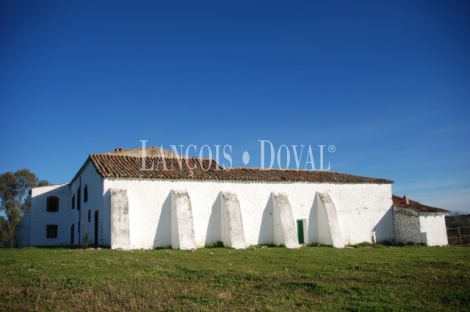 Sierra Morena. Dehesa con cortijo en venta. Finca de caza mayor y menor. Vilches. Jaén.