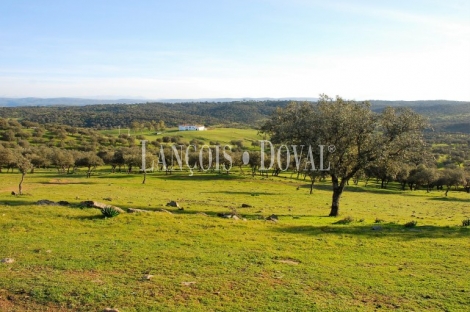 Sierra Morena. Dehesa con cortijo en venta. Finca de caza mayor y menor. Vilches. Jaén.