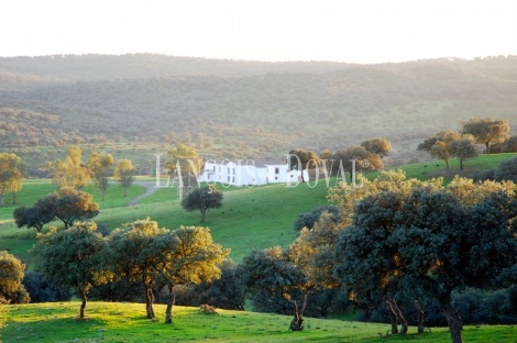 Sierra Morena. Dehesa con cortijo en venta. Finca de caza mayor y menor. Vilches. Jaén.