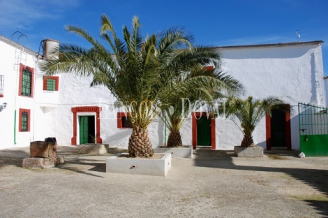 Sierra Morena. Dehesa con cortijo en venta. Finca de caza mayor y menor. Vilches. Jaén.