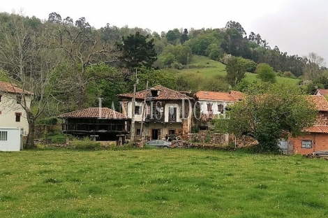 Asturias. Antigua casona en venta. Fresnedo. Concejo De Cabranes.