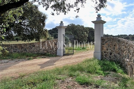 Toledo. Finca en venta. Dehesa en Mejorada. Talavera de la Reina.