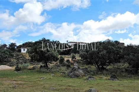 Toledo. Finca en venta. Dehesa en Mejorada. Talavera de la Reina.