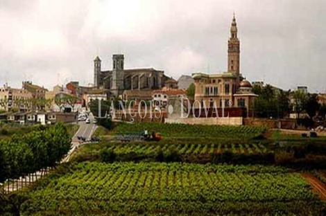 L´ Arboç. Casa en venta con licencia turística. Baix Penedés. Tarragona.