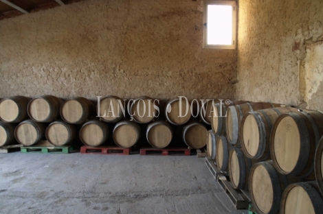 Almansa. Fincas y bodega ecológica en explotación. Viñedos, olivar y almendros.