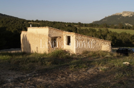 Almansa. Fincas y bodega ecológica en explotación. Viñedos, olivar y almendros.