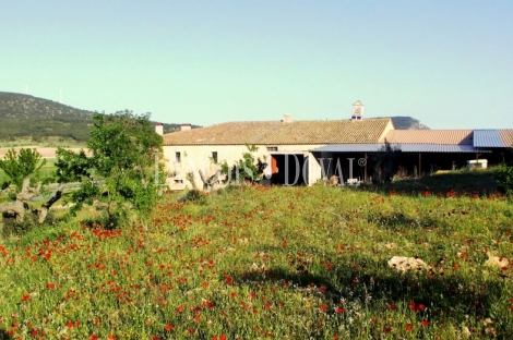 Almansa. Fincas y bodega ecológica en explotación. Viñedos, olivar y almendros.