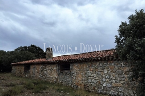 Soria. Finca y coto de caza en venta. Monte de encina.