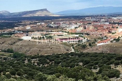 Soria. Finca y coto de caza en venta. Monte de encina.