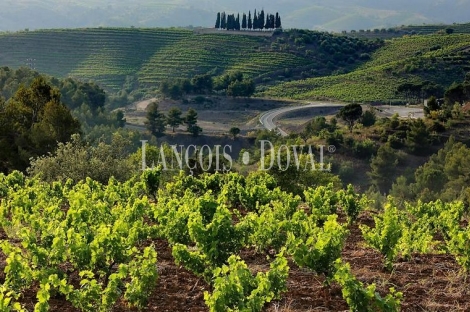 El Priorat. Hotel con encanto en venta dedicado al enoturismo.