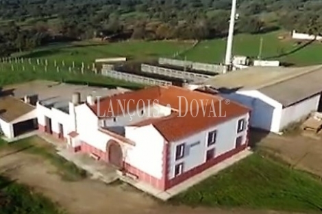 Córdoba. Finca de recreo en venta. Uso ganadero y agrícola. Los Pedroches.