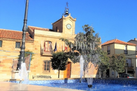 Jaén. Casa Palacio en venta. La Carolina. Posibilidad hotel con encanto.