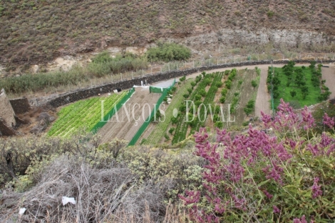 Las Palmas de Gran Canaria, Finca equipamientos en venta. Casco urbano, Ideal ocio o deportivot