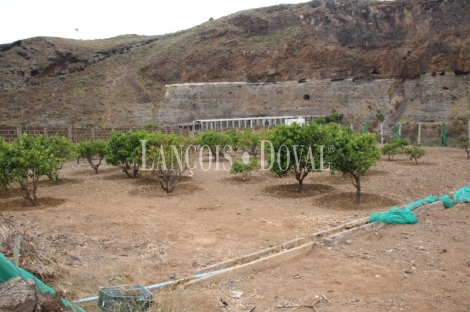 Las Palmas de Gran Canaria, Finca equipamientos en venta. Casco urbano, Ideal ocio o deportivot