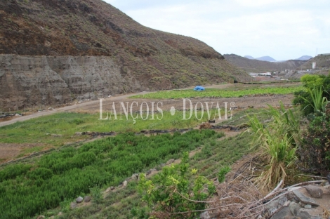 Las Palmas de Gran Canaria, Finca equipamientos en venta. Casco urbano, Ideal ocio o deportivot