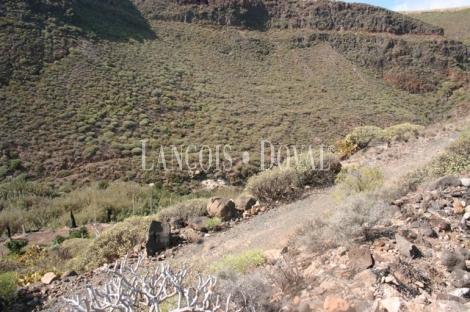 Las Palmas de Gran Canaria, Finca equipamientos en venta. Casco urbano, Ideal ocio o deportivot