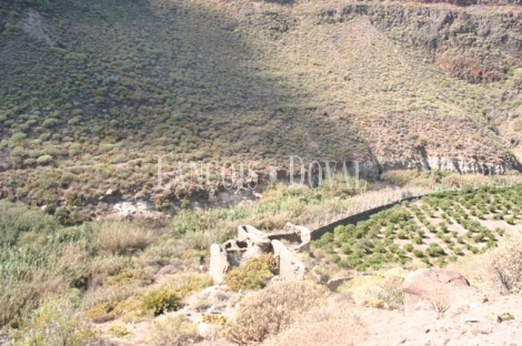 Las Palmas de Gran Canaria, Finca equipamientos en venta. Casco urbano, Ideal ocio o deportivot