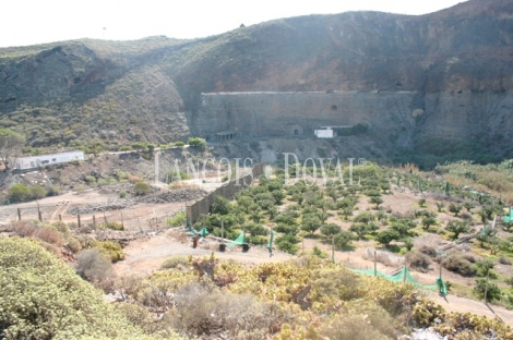 Las Palmas de Gran Canaria, Finca equipamientos en venta. Casco urbano, Ideal ocio o deportivot