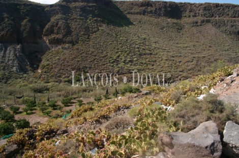 Las Palmas de Gran Canaria, Finca equipamientos en venta. Casco urbano, Ideal ocio o deportivot