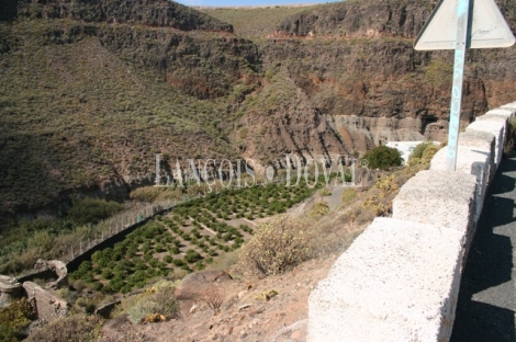 Las Palmas de Gran Canaria, Finca equipamientos en venta. Casco urbano, Ideal ocio o deportivot